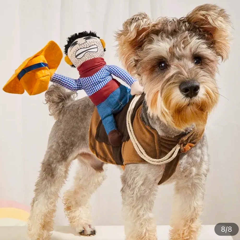 Funny Cowboy Rider Costume for Small and Medium Pets New